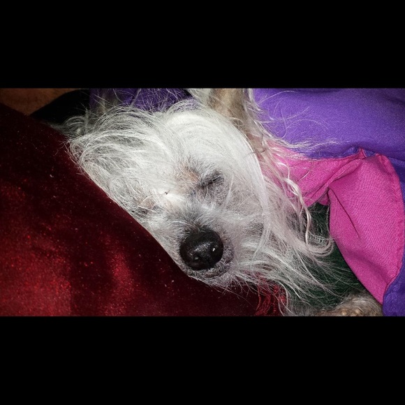 Meet your Posher, JDub - Picture 5 of 6